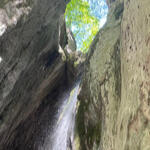 Photo Google